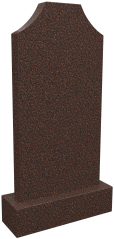 Памятник D/1005
