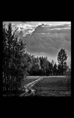 Пейзаж на памятник 29