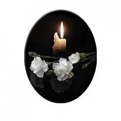 СВ008