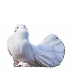 ПТ013