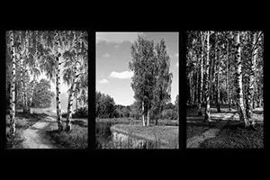 Картинка (любая)