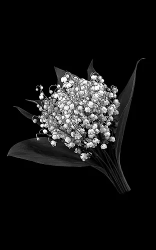 Цветы на памятник 166