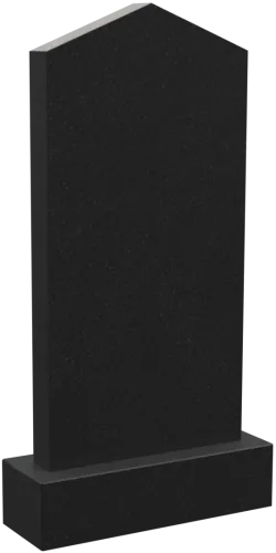 Памятник 1020