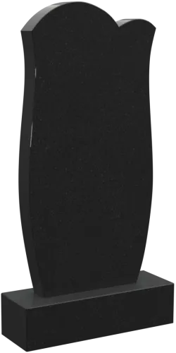Памятник 1299