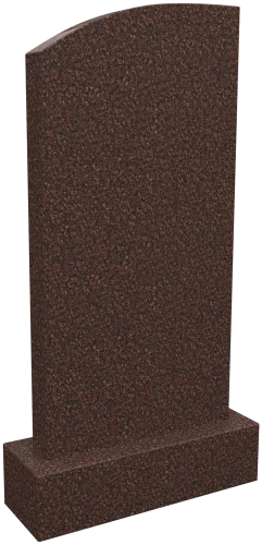Памятник D/1100