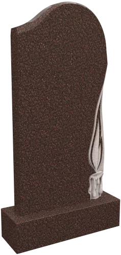 Памятник D/1874