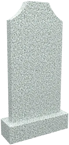 Памятник M/1005