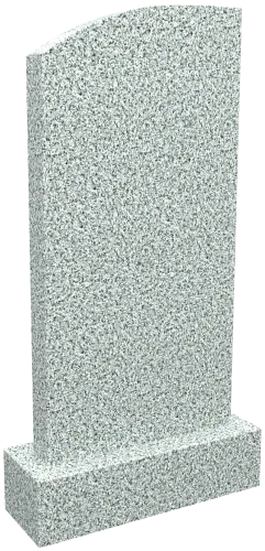 Памятник M/1100