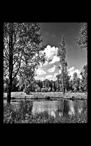 Пейзаж на памятник 179