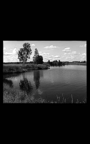 Пейзаж на памятник 262