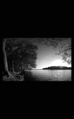 Пейзаж на памятник 99