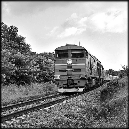 Профессии на памятник 230