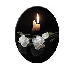 СВ008